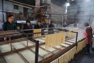 突击检查！钦州三家腐竹厂生产环境触目惊心，卫生状况堪忧